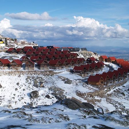 Luna Chalets Da Montanha - Serra Da Estrela Covilhã Exterior foto